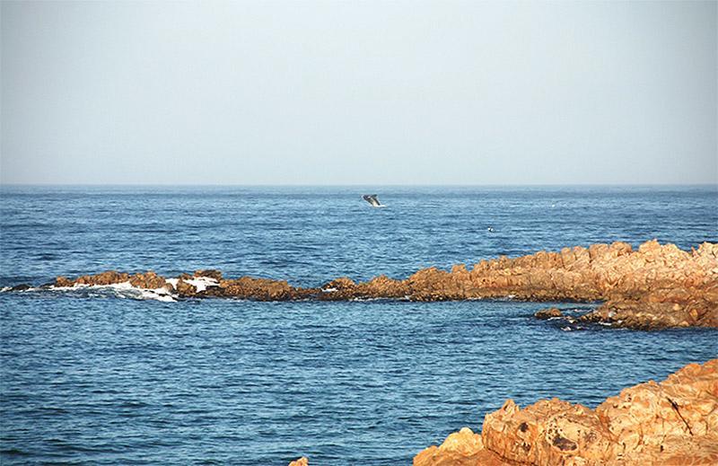 Evane Plettenberg Bay Bagian luar foto